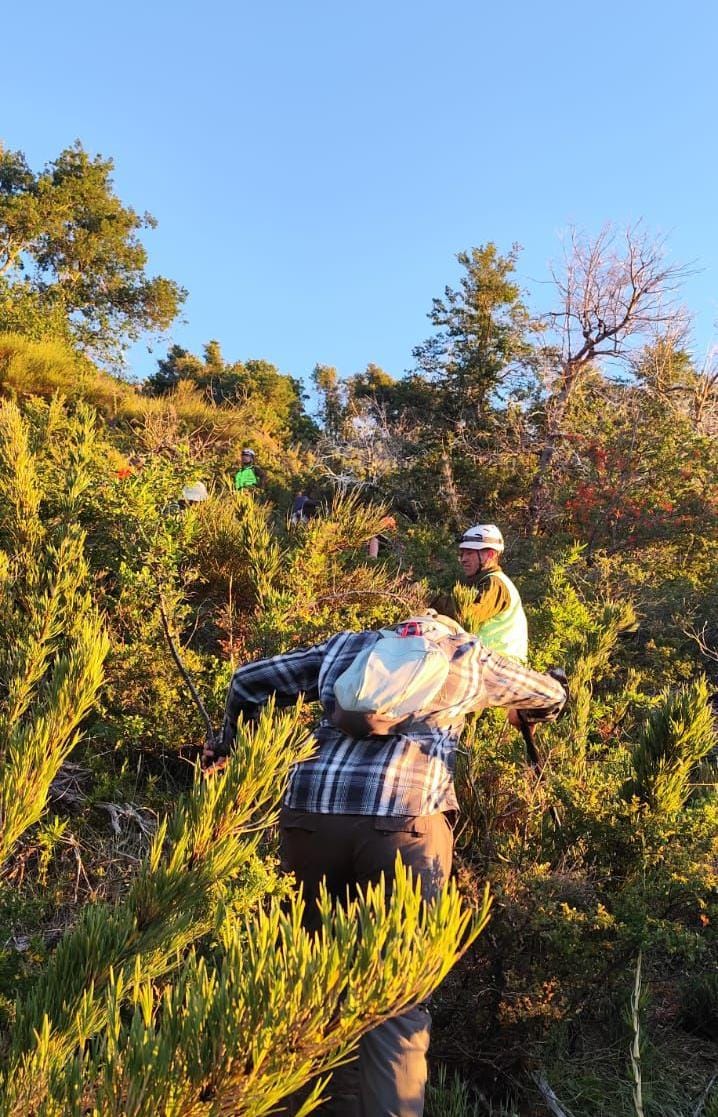 Carabineros rescatan a cinco personas extraviadas en sector Laguna del Huemul, en Las Trancas