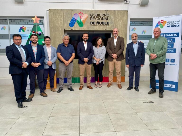 Comité de Desarrollo Productivo de Ñuble beneficia a más de 1.900 emprendedores y pymes en 2025