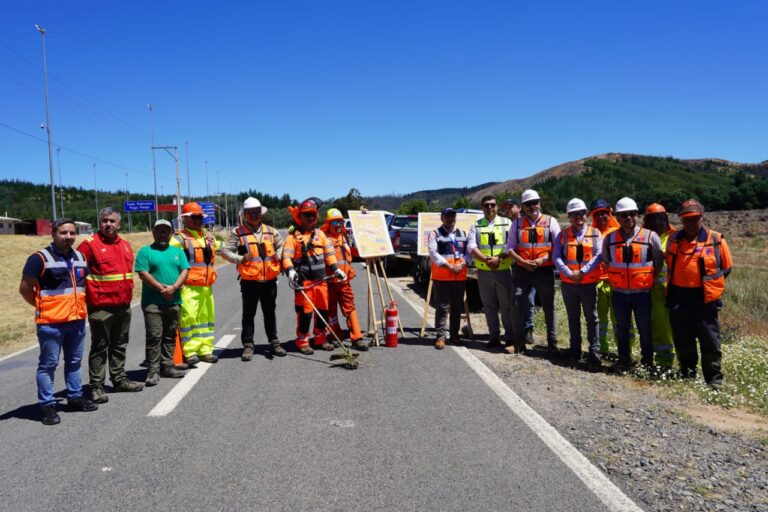 Ñuble contempla 394 kilómetros de cortafuegos para reforzar prevención de incendios forestales