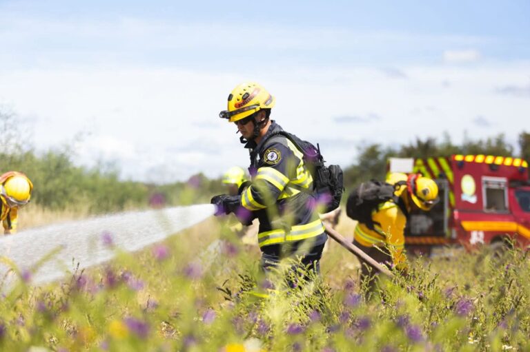 CONAF declara alerta temprana preventiva en Ñuble por riesgo de incendios forestales