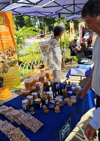 El Carmen lanza su temporada estival 2025: Naturaleza, eventos masivos y el primer mapa turístico de la comuna