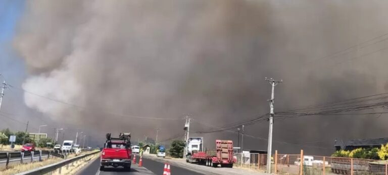 Ñuble reporta aumento del 40 por ciento en incendios forestales, pero logra reducir la superficie afectada en un 60 por ciento