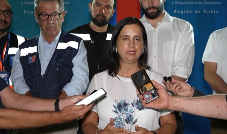 Autoridades refuerzan combate de incendios forestales y llaman a extremar medidas preventivas en Ñuble