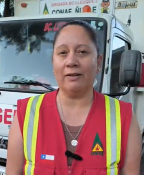 Incendios forestales en Ñuble: tres siniestros controlados y solo uno sigue en combate