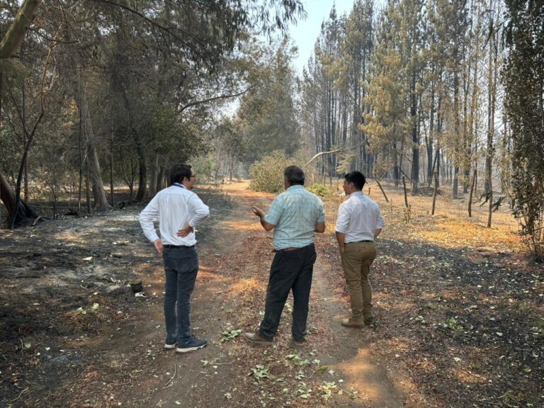 Ministerio de Economía inicia levantamiento de información para activar instrumentos de reconstrucción productiva en regiones afectadas por incendios