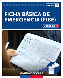 Primer reporte de FIBE en Ñuble arroja 45 viviendas destruidas