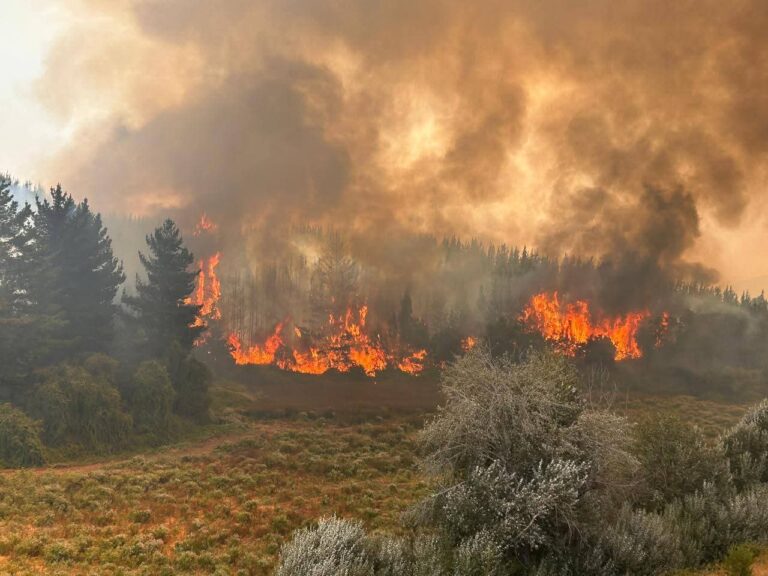 CONAF: Balance vespertino de incendios forestales en la Región de Ñuble
