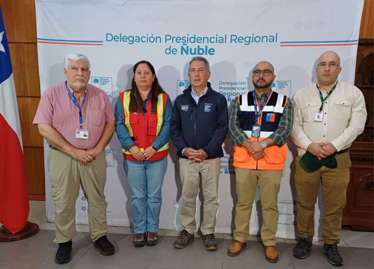 Autoridades regionales reportan avances y compleja situación por incendios forestales en la región de Ñuble