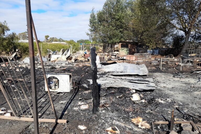 Fiscalía de Ñuble investiga tres incendios forestales que dejan a una mujer lesionada y casas destruidas por acción del fuego