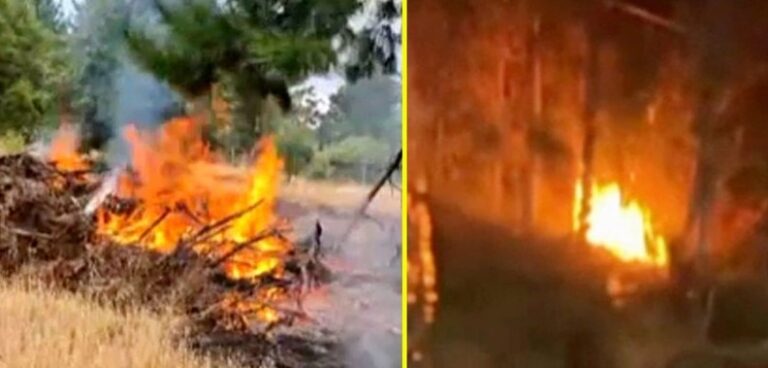 Tormenta eléctrica provoca múltiples incendios forestales en la Región de Ñuble