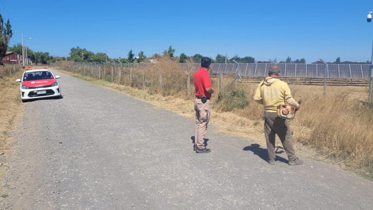 Notifican en Chillán sobre cortes urgentes de pasto por riesgo de incendios