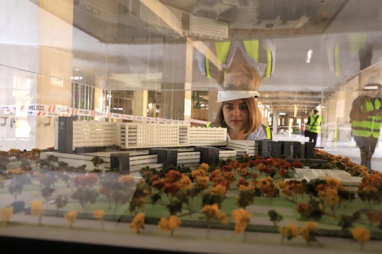 Mercado laboral de Ñuble consolida avances en empleo asalariado, aunque persisten brechas y desafíos estructurales