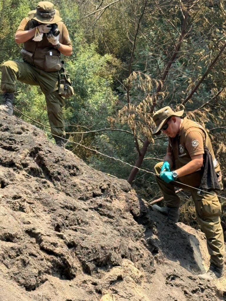 Peritos del Labocar Ñuble investigan origen de incendio forestal en Ránquil