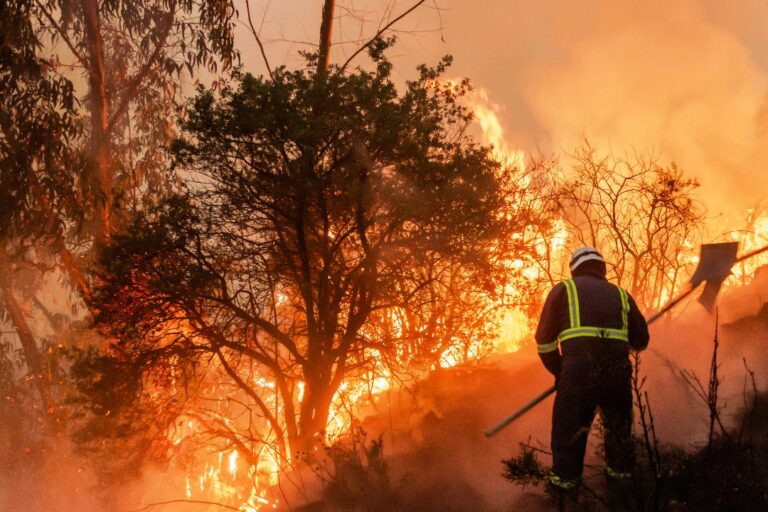 Cinco recomendaciones para proteger la salud frente a la toxicidad del humo de incendios