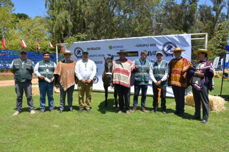 SAG refuerza control de Anemia Infecciosa Equina en Ñuble con más de 3.300 muestreos y fuerte despliegue territorial