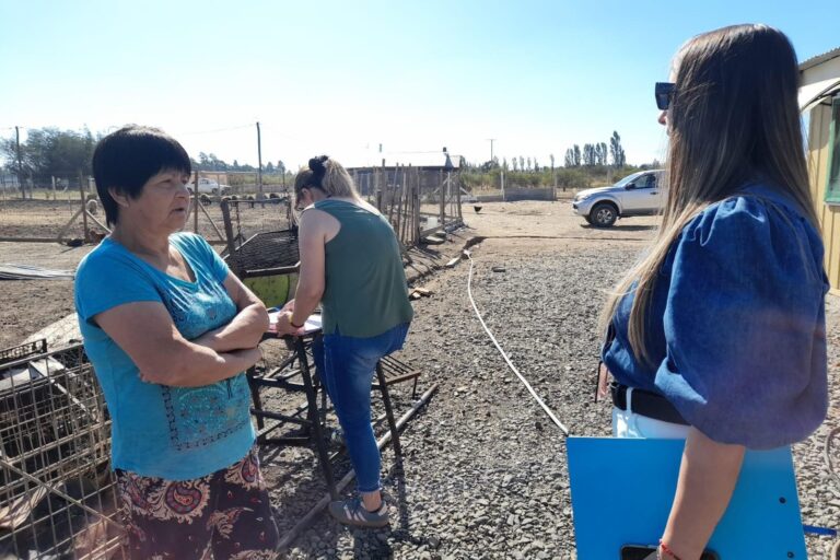 San Carlos aplicó Ficha FIBE a damnificados por incendio forestal en sector Santa Isabel