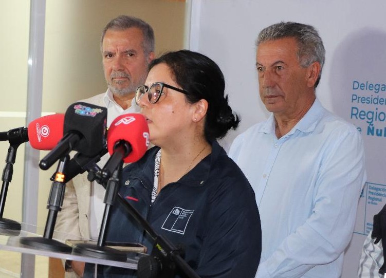 Gobierno anuncia Subsidio de Retención Laboral para empresas de Ñuble afectadas por incendios forestales