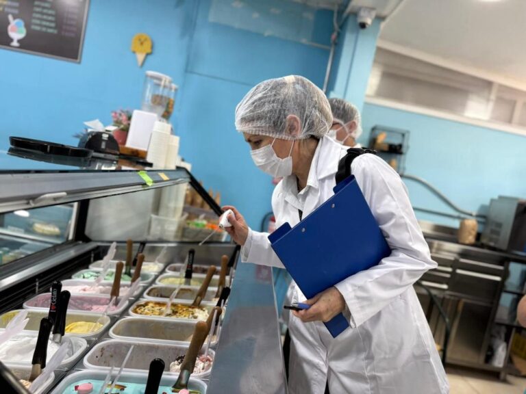 Seremi de Salud refuerza fiscalizaciones a heladerías e inicia sumarios sanitarios