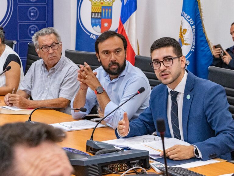 Aprueban Plan de Acción Regional que incluye 16 medidas para enfrentar el Cambio Climático en Ñuble