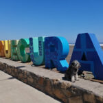 Cobquecura invita a vivir febrero con actividades familiares, culturales y románticas