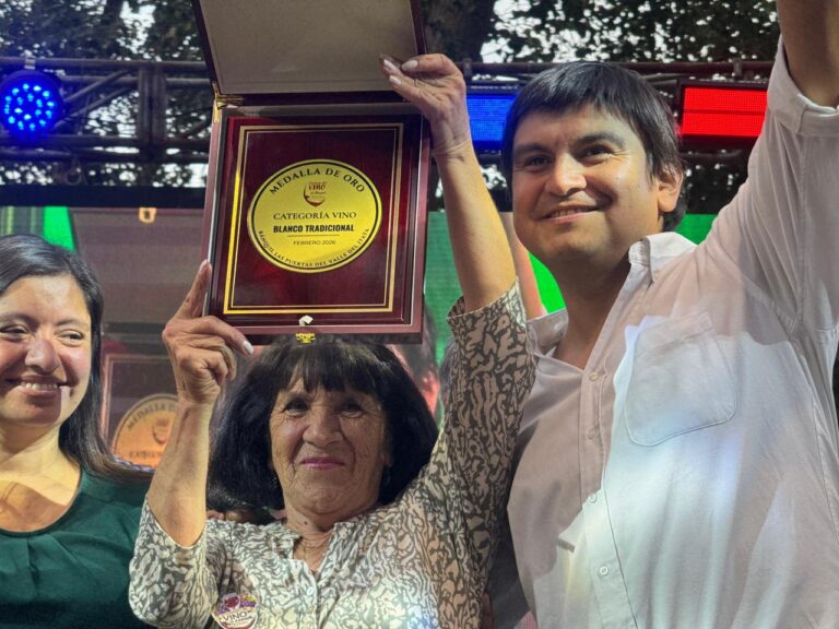 Más de 6 mil personas repletaron y acompañaron a Ránquil en la versión 27 del concurso del vino