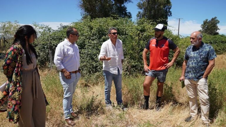 Concejo Municipal aprueba recursos para construcción de la primera cancha donde se desarrollará el rugby en Chillán