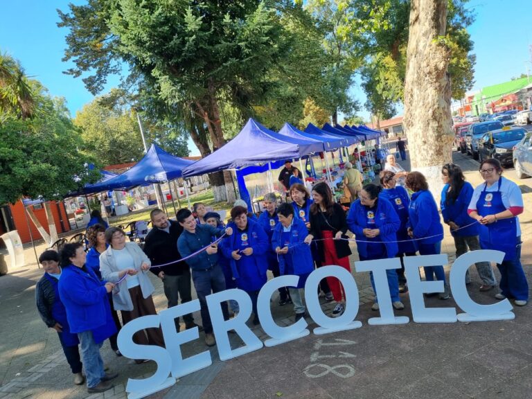 Iniciativa ‘Ferias Libres’ benefició a 24 emprendedoras carmelinas