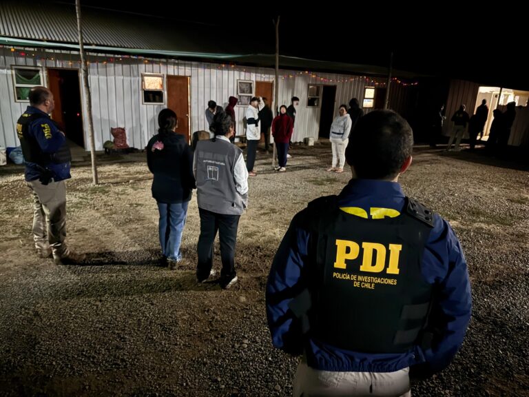 Fiscalización migratoria y sanitaria en Coihueco detectó distintas irregularidades