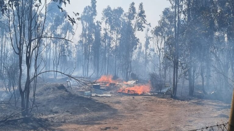 Incendio forestal ‘Quillinco’ afecta 350 hectáreas en San Nicolás