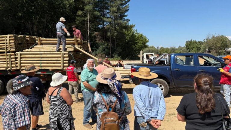 Ministerio de Agricultura entrega apoyo a 373 productores afectados en Ñuble y cierra etapa de primeras ayudas en Trehuaco