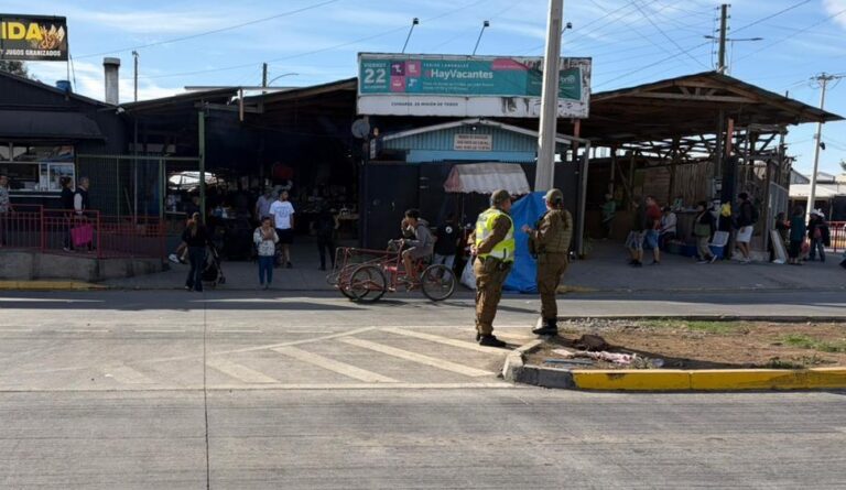 Carabineros implementa servicio preventivo en Avenida Los Puelches para reforzar seguridad y evitar ocupación de espacios públicos
