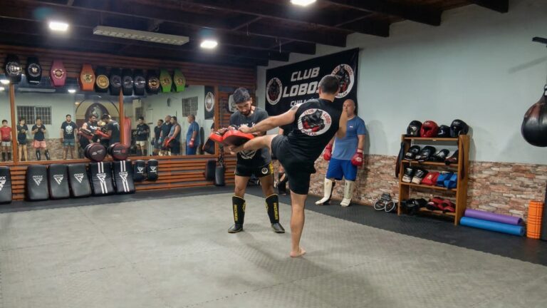 Ñuble será sede de importante encuentro nacional de artes marciales gracias al apoyo del Gobierno Regional