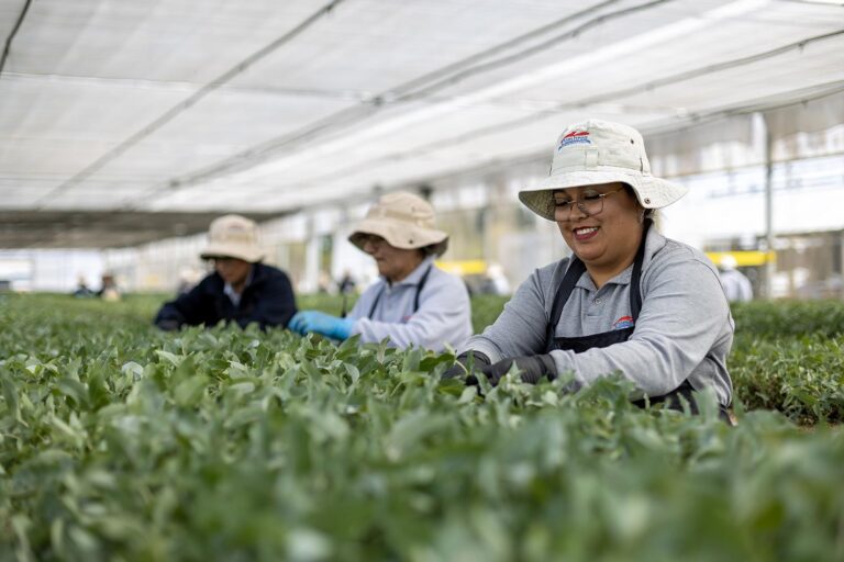 Corma destaca rol del mundo forestal en nuevo ciclo político que inicia Chile
