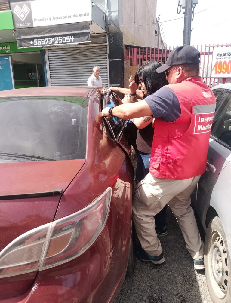 Inspectores de seguridad municipal rescatan a gato deshidratado dentro de auto en Chillán