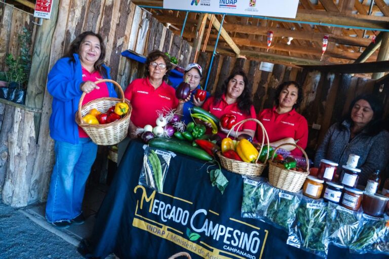 Ñuble avanza en diálogo territorial para una agricultura más sustentable