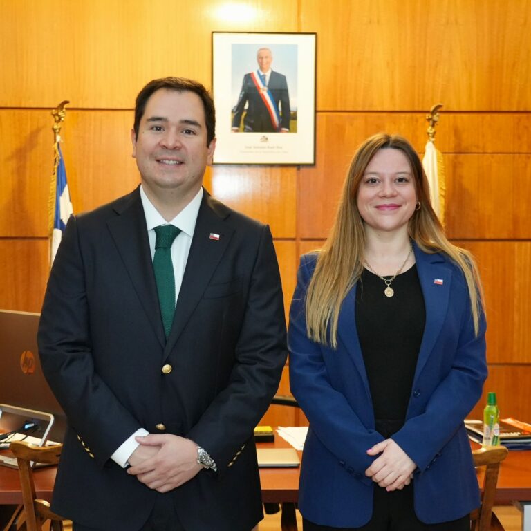 Pía Sandoval es nombrada nueva jefa regional de la Subdere