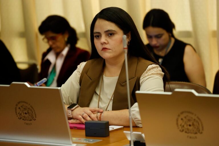 Diputada Sara concha Valora anuncio del gobierno de no recortar el 3 por ciento de Seguridad