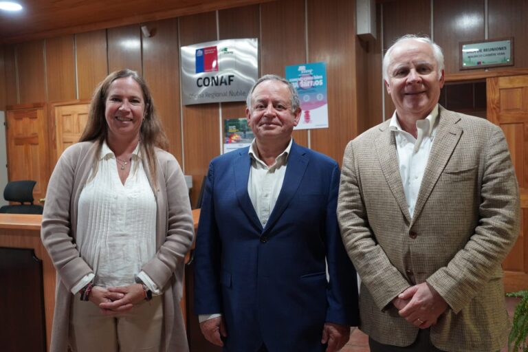 Avanza agenda de coordinación para la prevención de incendios y el desarrollo forestal en Ñuble