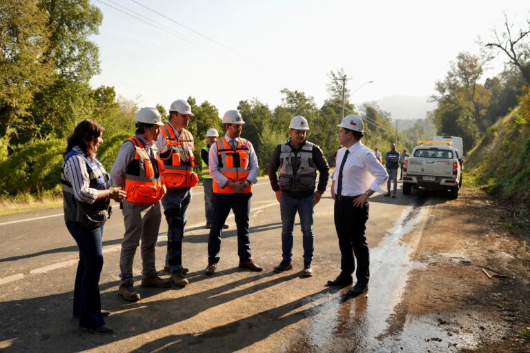 Delegado Presidencial destraba proyecto clave y en menos de un mes inician obras en ruta N-31