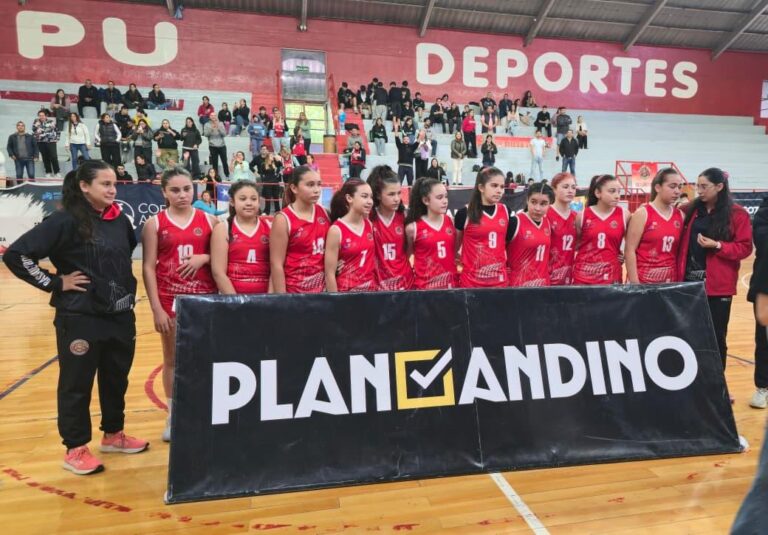 Jóvenes basquetbolistas de Ñuble dejan Huella en torneo Internacional de Argentina