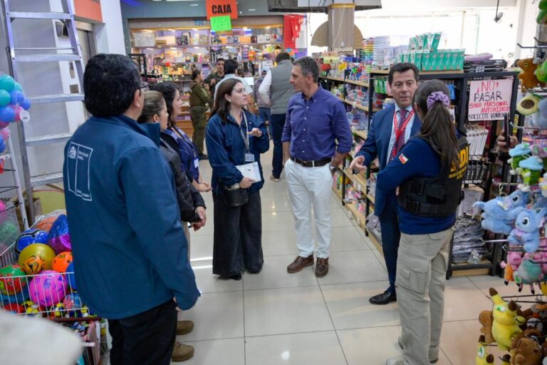 Decomisan y prohíben venta de alimentos importados en “Malls Chinos” en Chillán