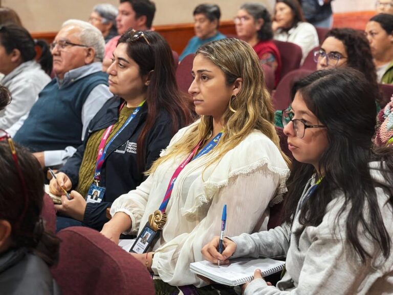 Seremi de Gobierno realiza capacitaciones del FFOIP con amplia convocatoria en Itata y Punilla